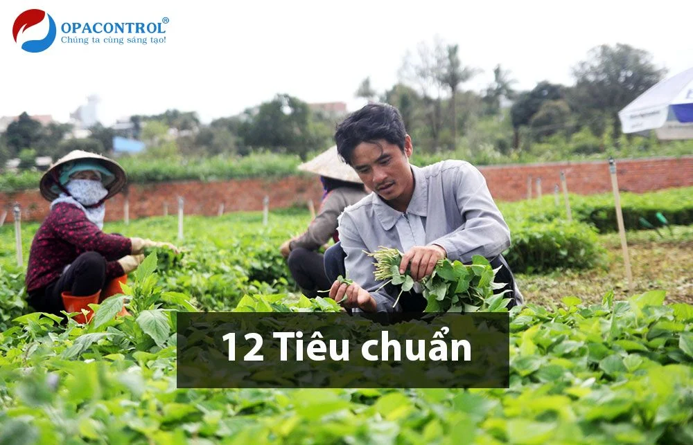 12 Tiêu chuẩn VietGap