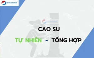Phân biệt cao su tự nhiên và cao su tổng hợp