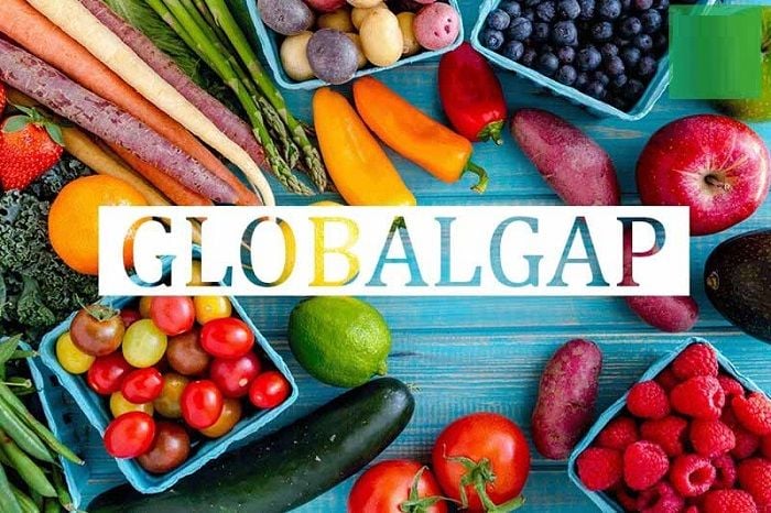 chuẩn global gap