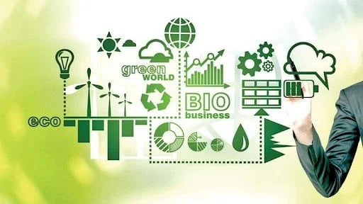 Doanh nghiệp nên thiết lập Hệ thống quản lý môi trường theo ISO 14001:2015