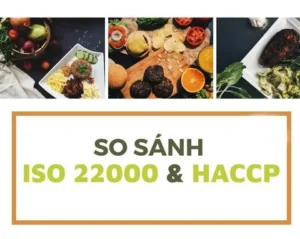 Phân biệt ISO 22000 và HACCP | Doanh nghiệp nên áp dụng Iso 22000 hay HACCP