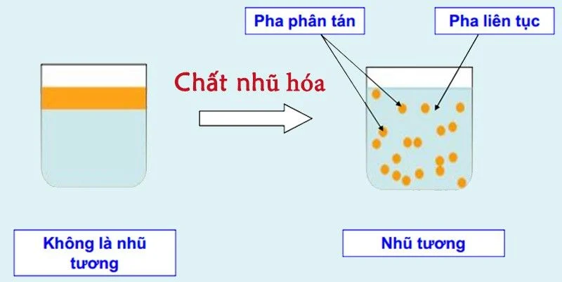Nhũ tương