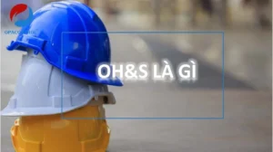 OH&S là gì| Đặc điểm và vai trò của OH&S trong quản lý An toàn sức khỏe, nghề nghiệp
