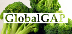 Nâng tầm chất lượng nông sản với Tiêu chuẩn Global GAP| OPA News