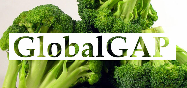 Chuẩn global gap